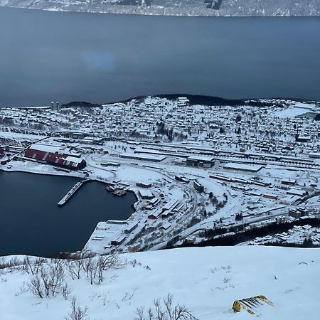 Narvik Sentrum Apartment Bagian luar foto